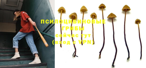 винт Заволжье